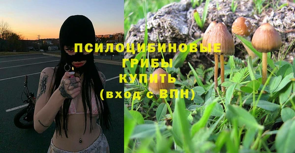 дживик Алексеевка