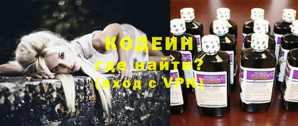 соль ск Новозыбков